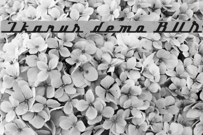 Ikarus demo BUS Font examples