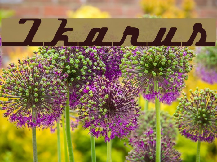 Ikarus Font examples