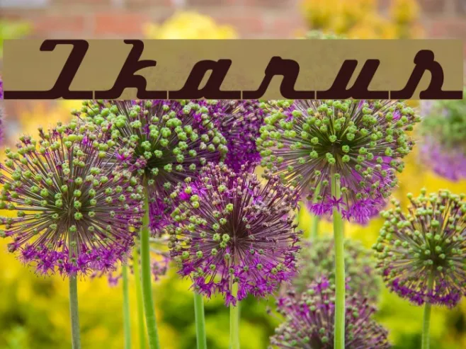 Ikarus Example 2