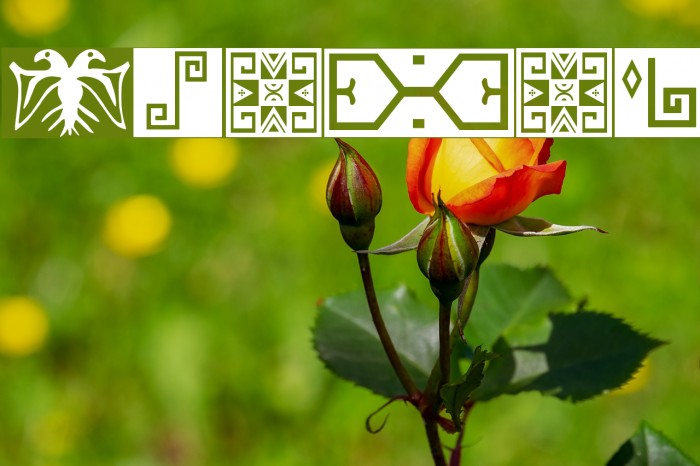 Ikatan Font examples