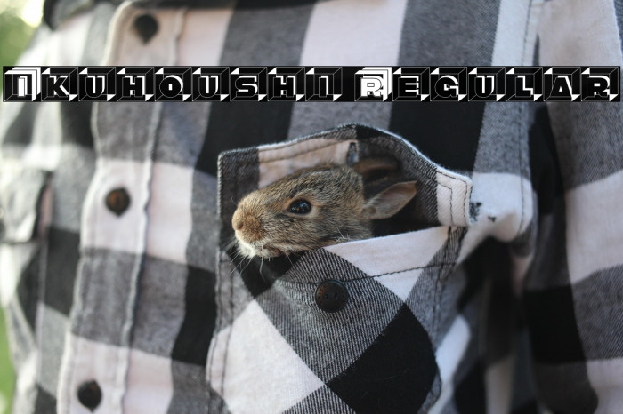 Ikuhoushi Regular Example 2