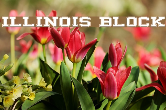 ILLINOIS block Font examples