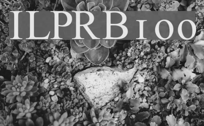 ILPRumanianB100 Font examples