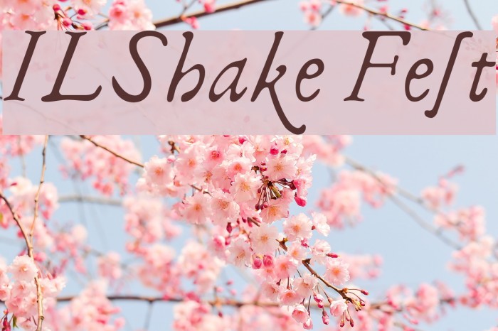 ILShakeFest Font examples