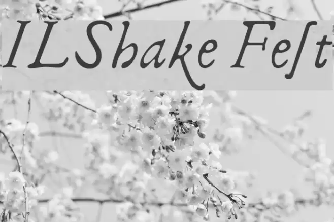 ILShakeFest Font examples