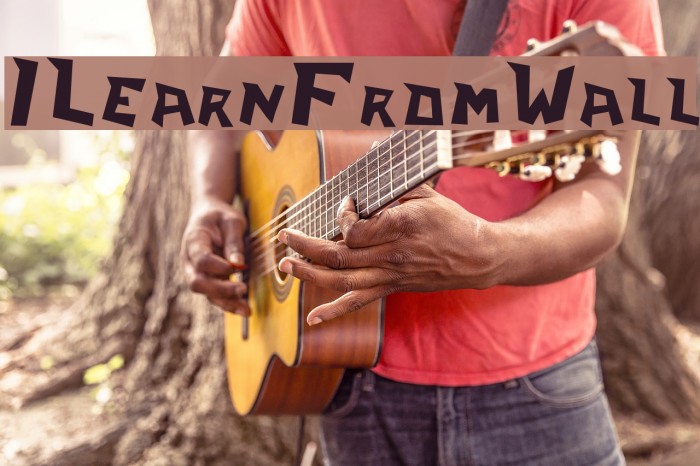 ILearnFromWall Font examples