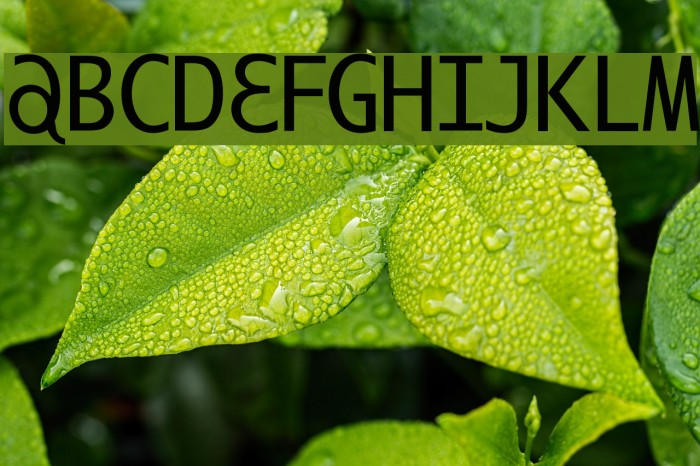 ILikeOffenbach Example 1