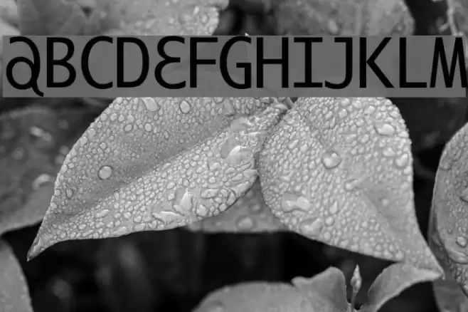 ILikeOffenbach Font examples