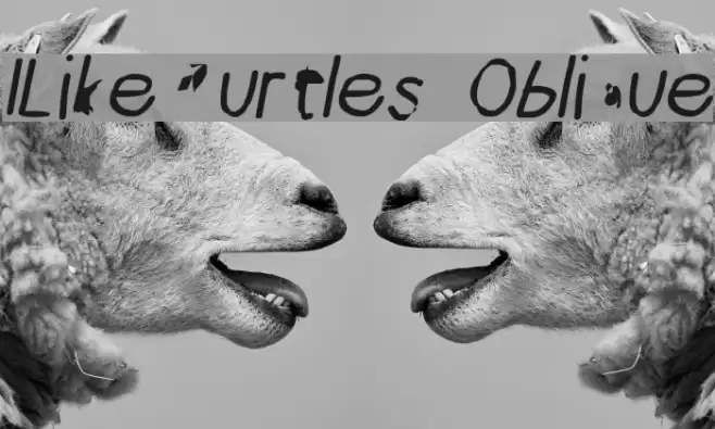ILikeTurtles Oblique Font examples