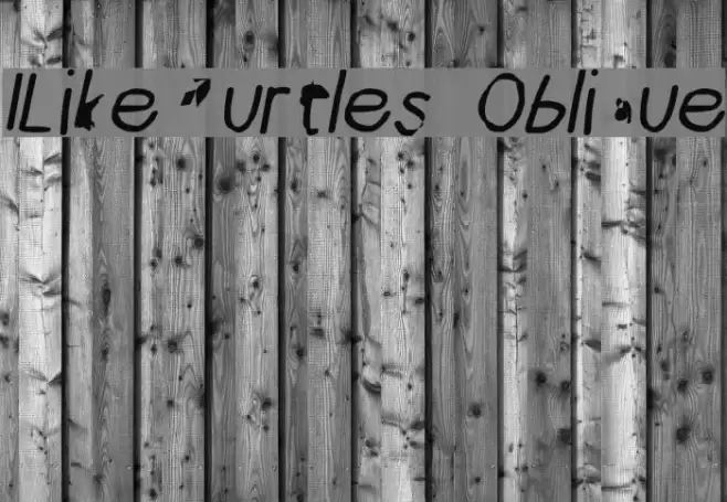 ILikeTurtles Oblique Font examples