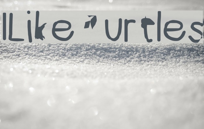 ILikeTurtles Font examples