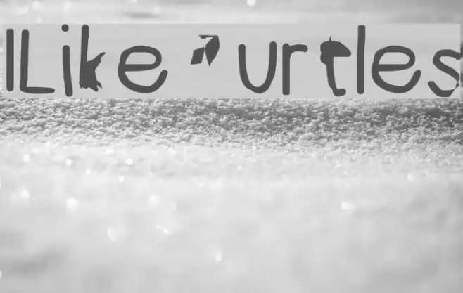 ILikeTurtles Font examples