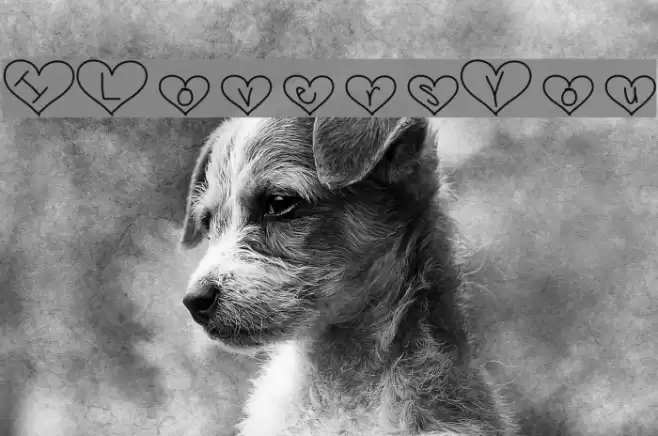 ILoversYou Шрифта examples