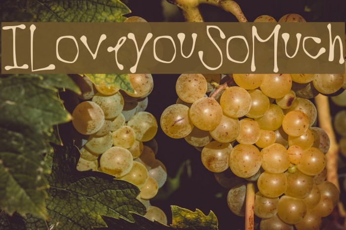 ILoveyouSoMuch Example 2