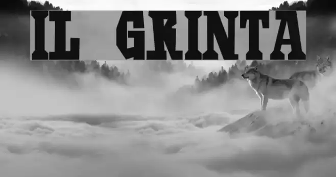 Il Grinta Font examples