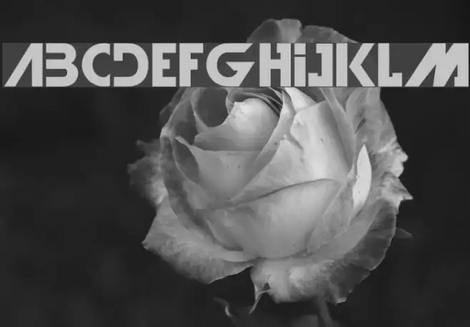 IllegalCurvesBold Font examples