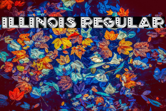 Illinois Regular Example 1