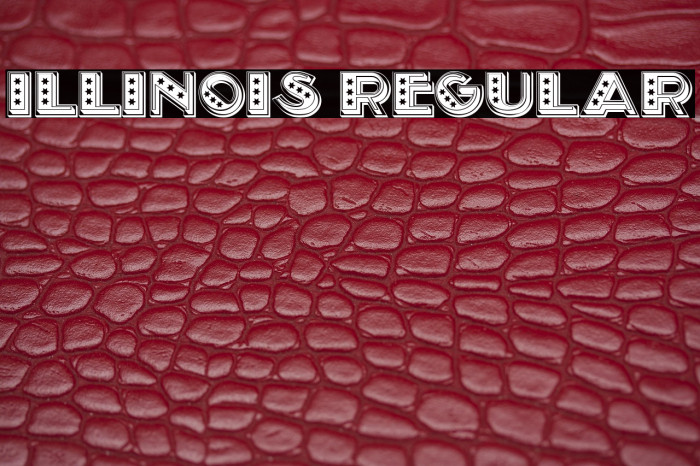 Illinois Regular Example 3