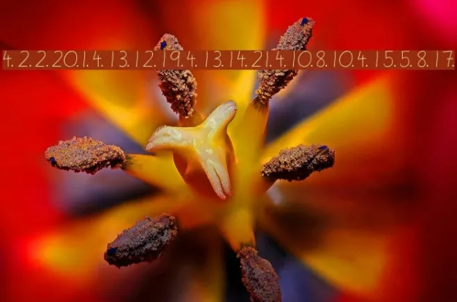 Illuminati Novice Cipher Example 1