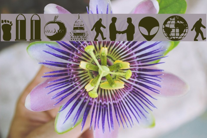 Illuminati Example 1