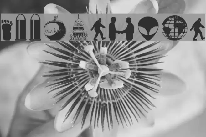 Illuminati Font examples