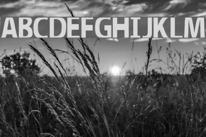 Illumination Font examples