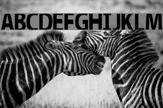 Illumination Font examples