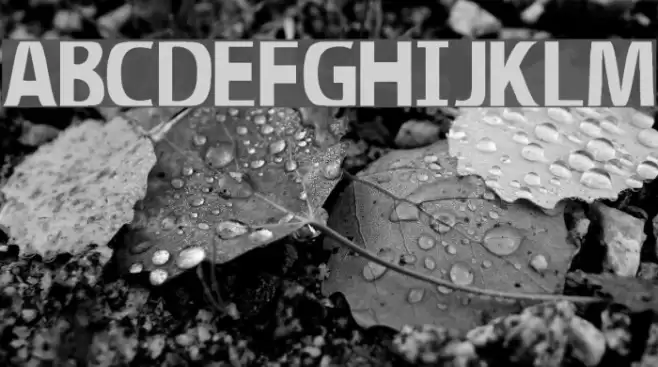 Illumination Font examples