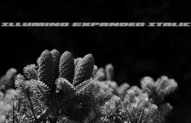 Illumino Expanded Italic Font examples