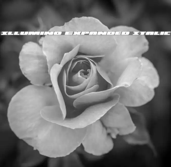 Illumino Expanded Italic Font examples