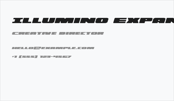 Illumino Expanded Italic Business Card