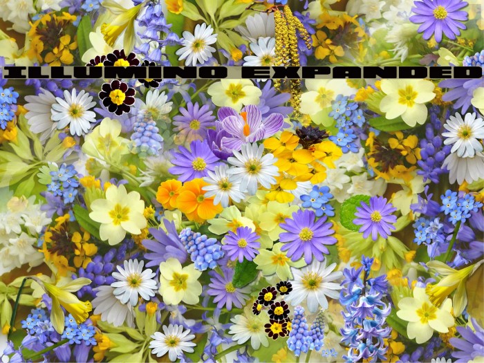 Illumino Expanded Example 2