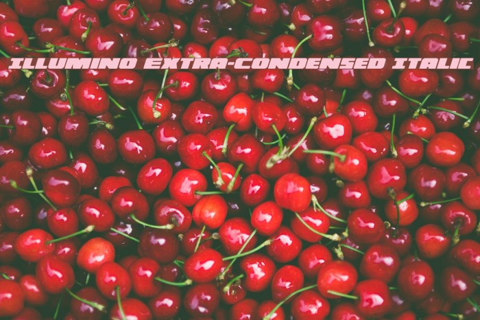 Illumino Extra-Condensed Italic Font examples
