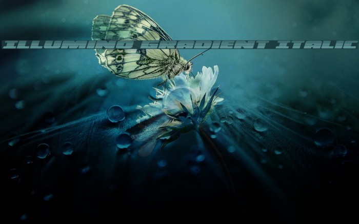 Illumino Gradient Italic Example 3