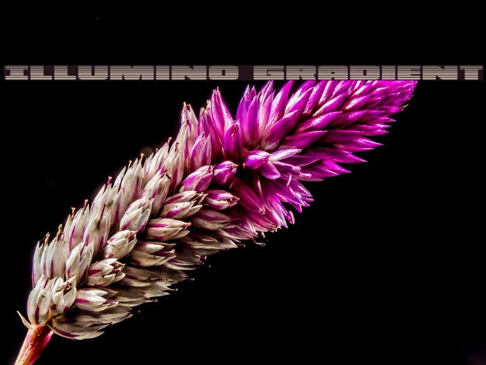 Illumino Gradient Example 3