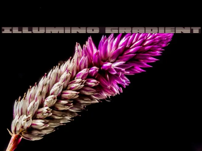 Illumino Gradient Example 3