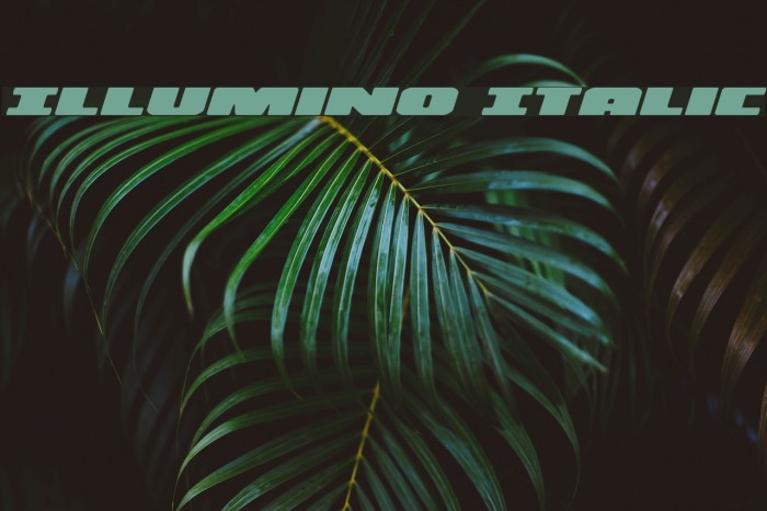 Illumino Italic Example 2