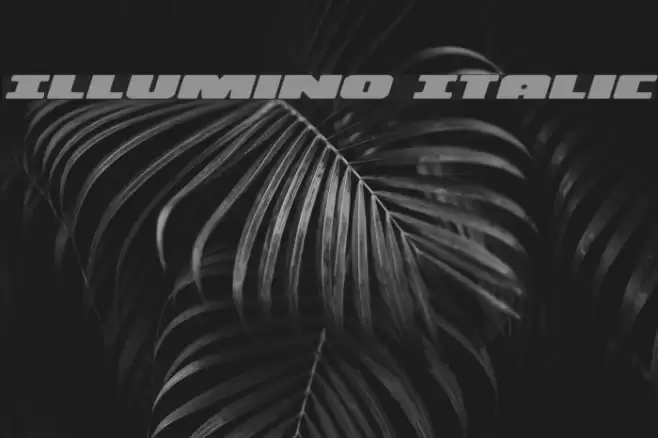 Illumino Italic Font examples