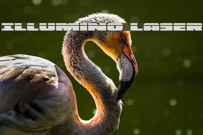 Illumino Laser Example 3