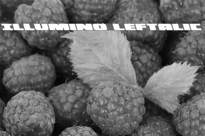 Illumino Leftalic Font examples