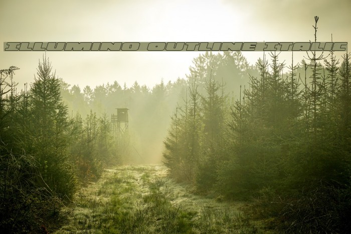 Illumino Outline Italic Example 3