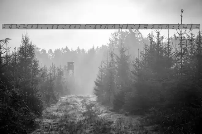 Illumino Outline Italic Font examples