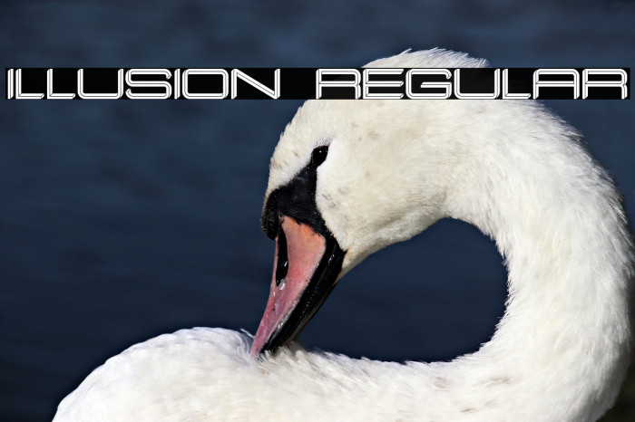 Illusion Regular Font examples
