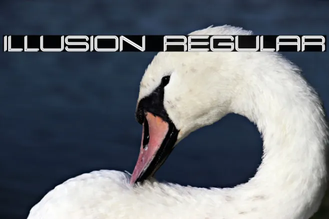 Illusion Regular Example 1