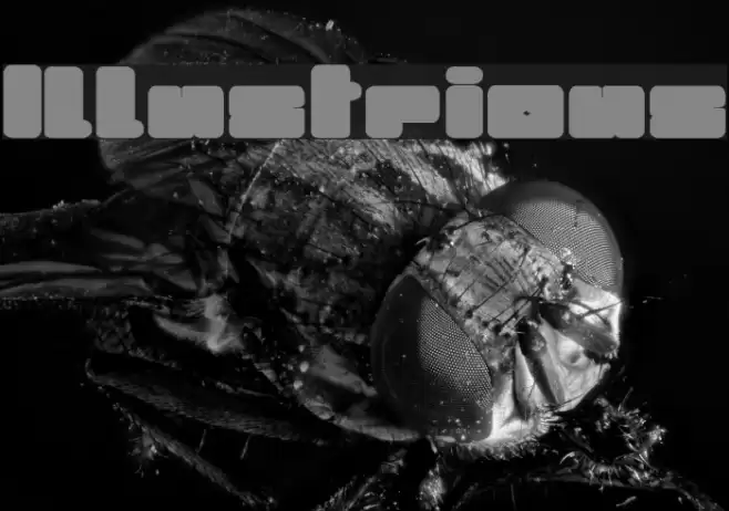 Illustrious Font examples