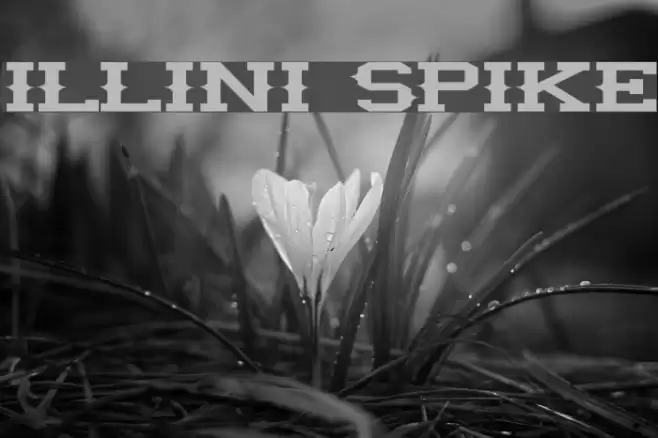 illini spike Font examples