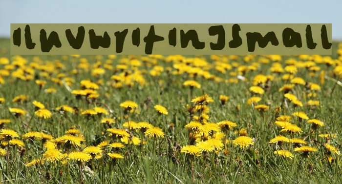 iluvwritingsmall Font examples