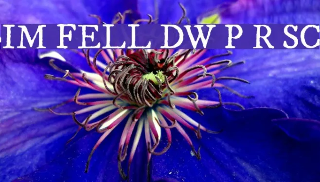 IM FELL DW Pica Roman SC Example 1