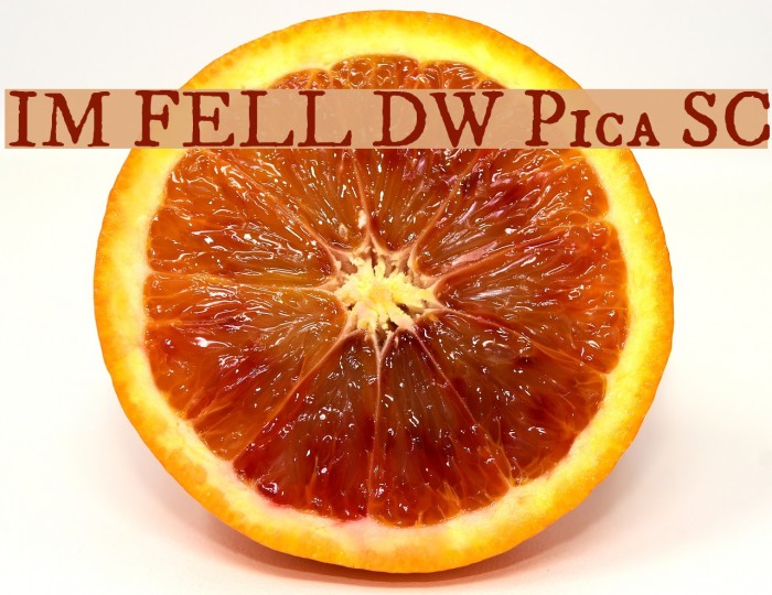 IM FELL DW Pica SC Font examples