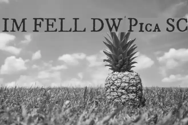 IM FELL DW Pica SC Font examples